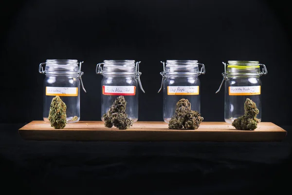 Cannabis Strains: How Many Different Kinds Are There?
